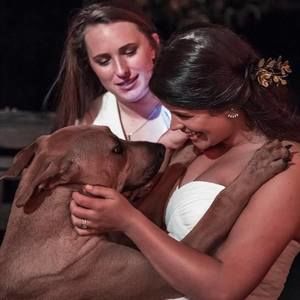 Meet your Posher, Elise